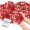 Dried Flower Red Plum Biodegradable Confetti - Flower Petals for Weddings, Flower Girl Toss, Wedding